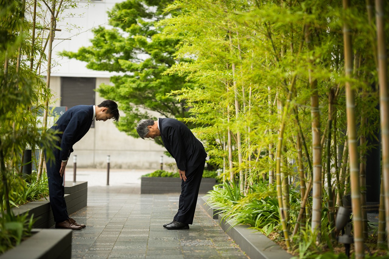 Japanese businessmen bowing in traditional Japanese customs used when greeting colleagues and formalizing deals, men, trees, greeting, two people, Asian